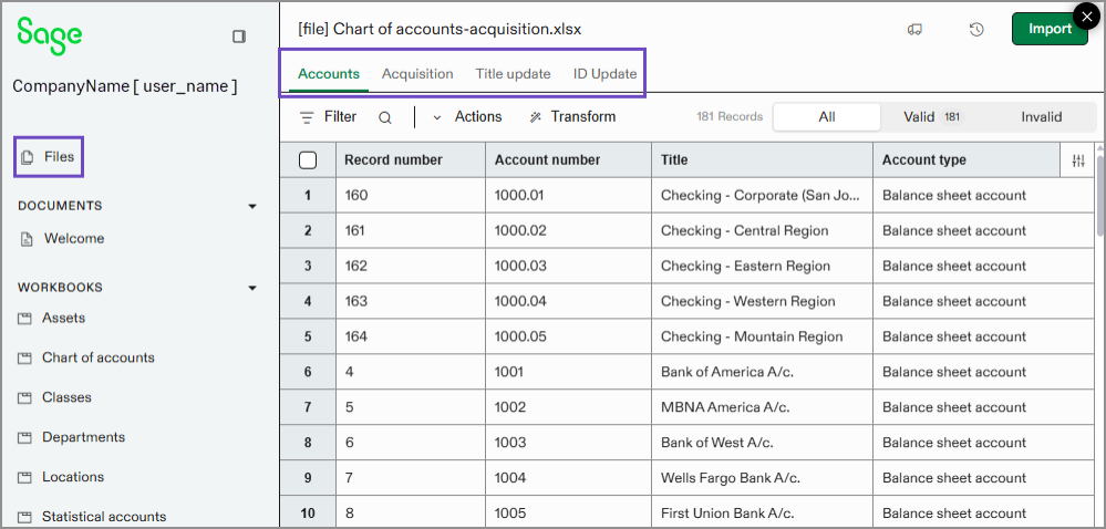 Example of tabs across the top of the import sheet.