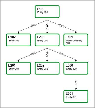 A 3-tiered ownership structure with entity E100 at the top; entities E101, E102, and E200 at the first subsidiary level; entities E201, E202, and E300 at the second subsidiary level; and entity E301 at the third subsidiary level. 