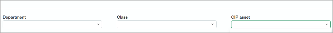 The CIP assets dialog is expanded. This is where you can select an existing asset or Add a new asset.